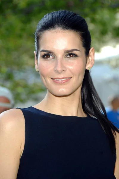 Angie Harmon Při Příjezdu Abc Network 2007 2008 Náhledy Přední — Stock fotografie