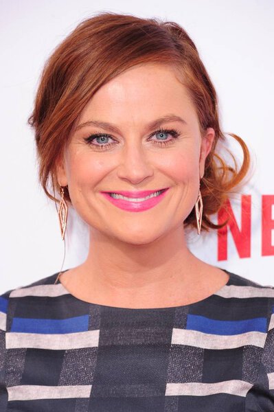 Amy Poehler at arrivals for Netflix's WET HOT AMERICAN SUMMER: FIRST DAY OF CAMP Premiere, The School of Visual Arts (SVA) Theatre, New York, NY July 22, 2015. Photo By: Gregorio T. Binuya/Everett Collection