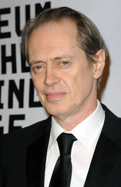 Steve Buscemi Arrivals Museum Moving Image 29Th Annual Black Tie — Stock Photo, Image