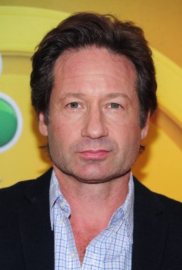 David Duchovny, Nbc Network Upfronts 2015 - Part 2, Radio City Music Hall, New York, Ny May 11, 2015 için gelenler. Fotoğraf: Gregorio T. Binuya / Everett Koleksiyonu
