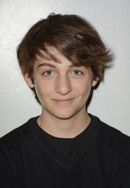 Julian Shatkin, Like Sun, Like Rain Q&A, Village East Cinemas, New York, Ny March 13, 2015 için katılıyor. Fotoğraf: Derek Storm