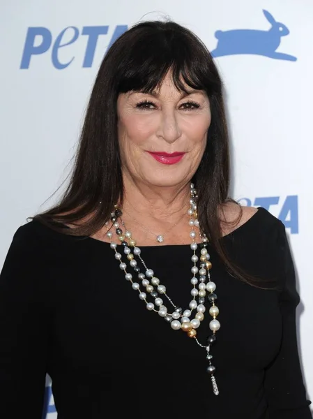 Anjelica Huston Při Příjezdu Peta Výročí Hollywoodské Palladium Los Angeles — Stock fotografie