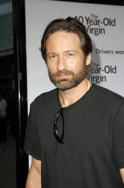 David Duchovny Arrivals Year Old Virgin Premiere Arclight Cinema Los — Stock Photo, Image