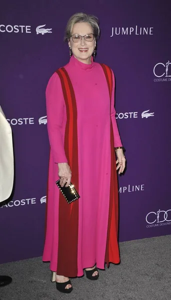 Meryl Streep Chegadas Para 19Th Cdga Costume Designers Guild Awards — Fotografia de Stock
