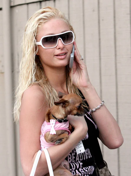 Paris Hilton Giro Parlare Sul Suo Cellulare Portare Suo Cane — Foto Stock