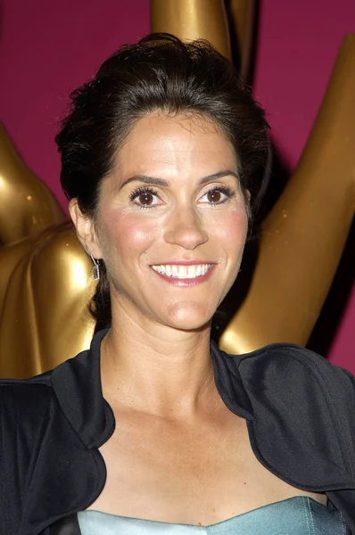 Jami Gertz Conferencia Prensa Para 57A Anual Primetime Emmy Awards — Foto de Stock