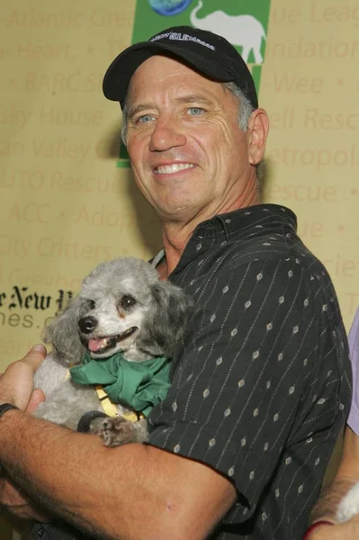 Tom Wopat Bij Aankomst Voor Broadway Barks Hond Kat Adopt Rechtenvrije Stockafbeeldingen