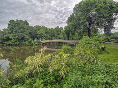Central Park, New York City, öbür tarafa The Lake bulunan bir dökme demir köprü yay köprüdür 