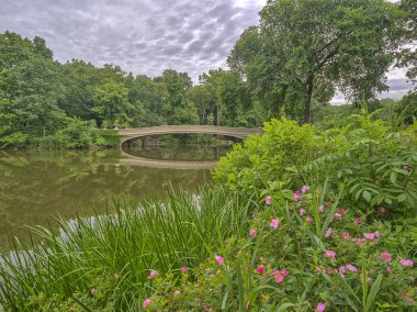 Central Park, New York City, öbür tarafa The Lake bulunan bir dökme demir köprü yay köprüdür 