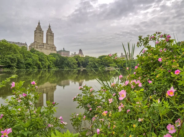 Lago Central Park Nova Iorque — Fotografia de Stock