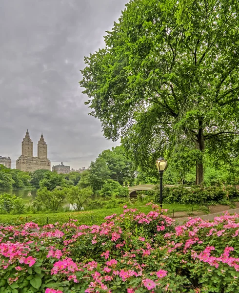 Bow Brug Een Gietijzeren Brug Gelegen Central Park New York — Stockfoto