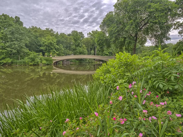 Central Park, New York City, öbür tarafa The Lake bulunan bir dökme demir köprü yay köprüdür 
