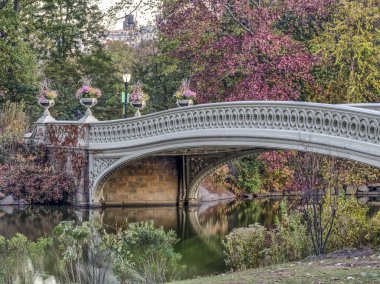Central Park, New York City, çaprazlanarak The Lake sonbahar bulunan bir dökme demir köprü yay köprüdür