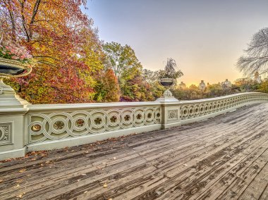 Central Park, New York City, çaprazlanarak The Lake sonbahar bulunan bir dökme demir köprü yay köprüdür