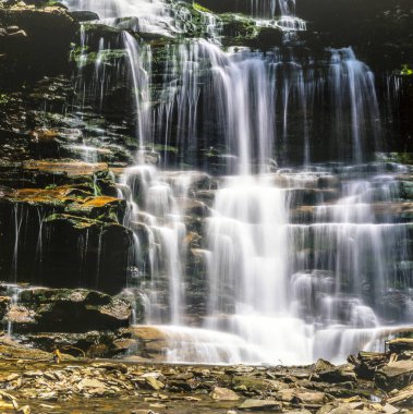 Ricketts Glen limanları Glens doğal alanı, doğal bir tarihi bölge