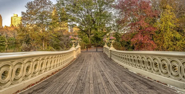 弓桥是铸铁位于纽约中央公园 跨越湖在秋天 — 图库照片