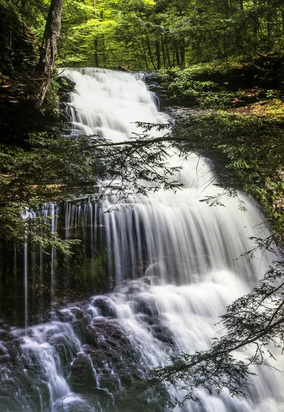 Ricketts Glen Ospita Glens Natural Area Punto Riferimento Naturale Nazionale — Foto Stock