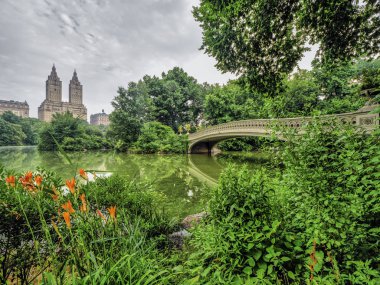 Central Park, New York City, öbür tarafa The Lake bulunan bir dökme demir köprü yay köprüdür 