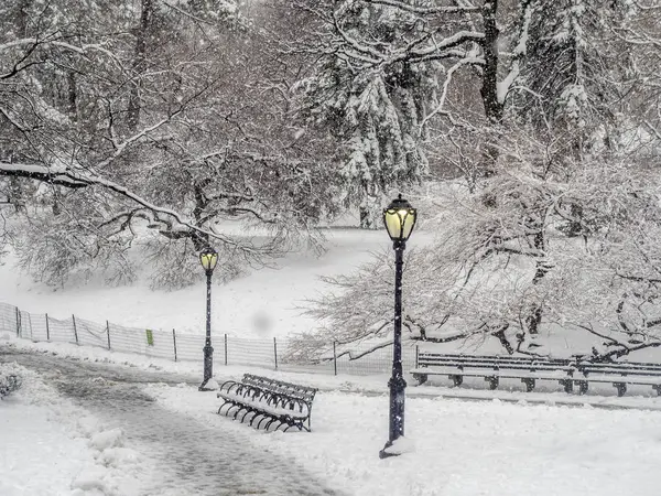 Central Park New York Hiver Pendant Une Tempête Neige — Photo