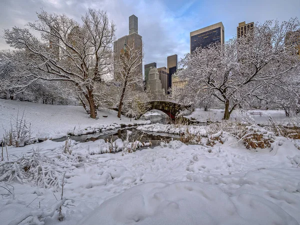 Gapstow Most Jest Jedną Ikon Manhattanu Nowym Jorku Central Park — Zdjęcie stockowe