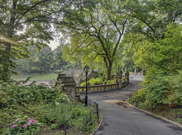 Bethesda Terrace Och Fontänen Har Utsikt Över Sjön New Yorks — Stockfoto