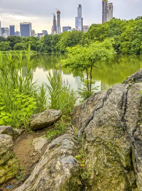 Gölde Central Park, New York City