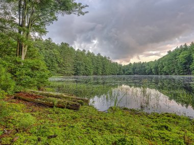 Silver Lake'de Sullivan U.S. New York eyaleti içinde yer alan İlçe