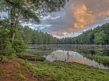 Silver Lake'de Sullivan U.S. New York eyaleti içinde yer alan İlçe