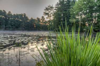 Silver Lake'de Sullivan U.S. New York eyaleti içinde yer alan İlçe