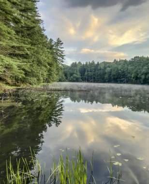 Silver Lake'de Sullivan U.S. New York eyaleti içinde yer alan İlçe