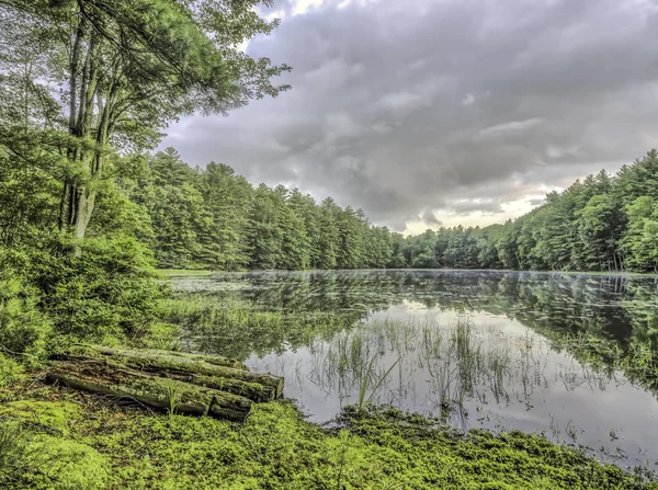 Jezioro Srebrne Sullivan County Stanie Nowy Jork Usa — Zdjęcie stockowe