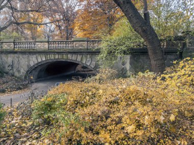 Central Park, New York City Glade kemer sonbahar