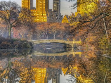 Central Park, New York City, öbür tarafa The Lake bulunan bir dökme demir köprü yay köprüdür 