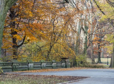 Central Park, New York City'deki sonbahar