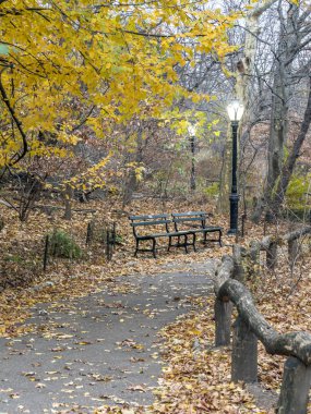 Geç sonbaharda Central Park, New York şehrinde 
