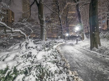 Central Park, New York şehir sonra ve kar fırtınası sırasında
