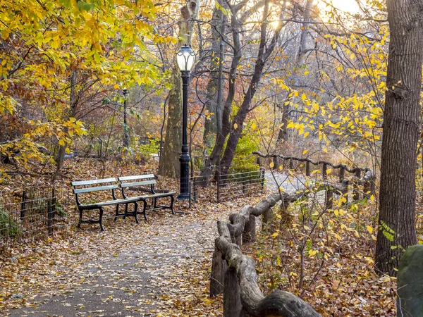 Central Park New York City — Stockfoto
