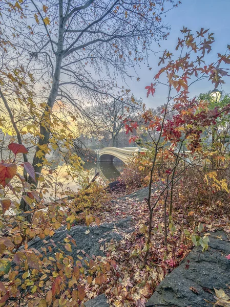 Bow Bridge Puente Hierro Fundido Situado Central Park Nueva York —  Fotos de Stock