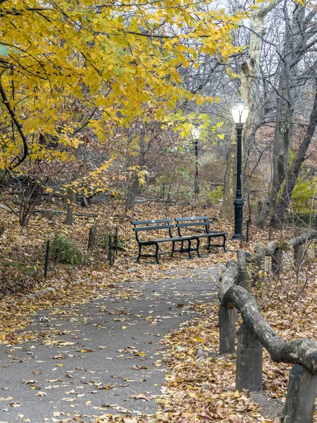 Central Park New York Fine Autunno — Foto Stock