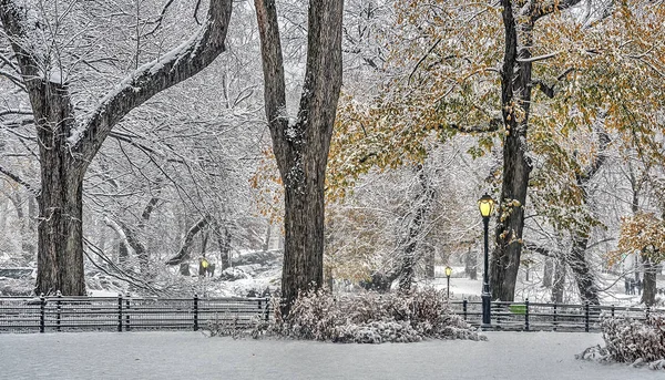 Central Park Nueva York Después Durante Tormenta Nieve —  Fotos de Stock