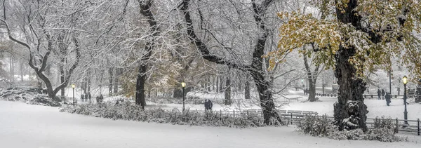 Central Park Nova Iorque Após Durante Tempestade Neve — Fotografia de Stock