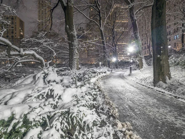 Central Park New York Après Pendant Tempête Neige — Photo