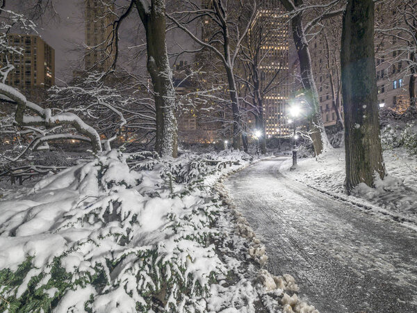Central Park, New York City after and during snow storm