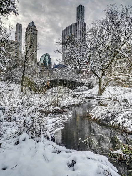 Central Park New York City Tijdens Sneeuwstorm — Stockfoto