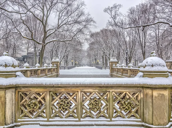 Central Park, New York şehir sonra ve kar fırtınası sırasında