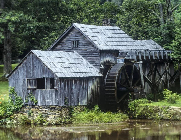 Ormandaki nehir üzerinde çok eski değirmen