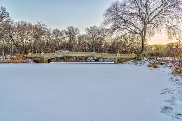 Central Park New York City Nach Schneesturm Januar — Stockfoto