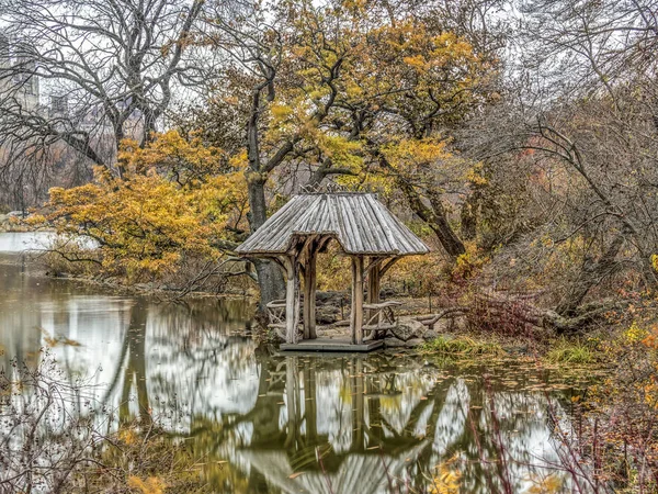 Geç Sonbaharda Central Park New York Şehrinde — Stok fotoğraf