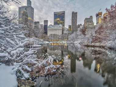 gapstow Köprüsü, central park, new york City'deki manhattan simgeler biridir