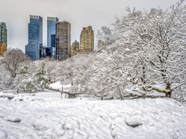 Central Park, New York City kış kar fırtınası sonra
